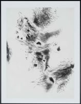 Andrew Verster; Landscapes, twelve