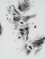 Andrew Verster; Landscapes, twelve