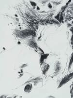 Andrew Verster; Landscapes, twelve