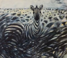 Yony Waite; Untitled (Zebra)