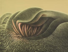 Wendy Vincent; Plant