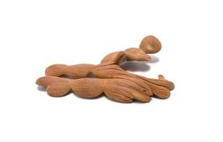 Geoffrey Armstrong; Segmented Organic Form