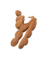 Geoffrey Armstrong; Segmented Organic Form