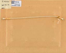 Conrad Theys; Kokerbome