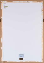 William Kentridge; White Iris