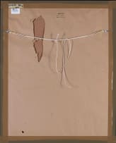 Carl Büchner; Boy with Red Hat