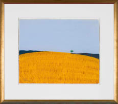 Pieter van der Westhuizen; Landscape