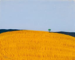 Pieter van der Westhuizen; Landscape