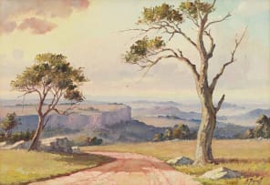 Christopher Tugwell; Gravel Pathway in the Mountains