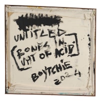 Boytchie; Untitled (Bones in Vat of Acid)