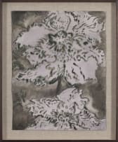 Ruschka du Toit; Whispered Truths
