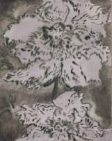 Ruschka du Toit; Whispered Truths