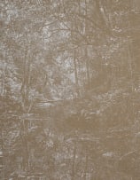 Peter Eastman; White Light
