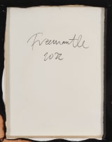 Jonathan Freemantle; Spirit Matter (Study, XV)