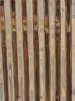 Selwyn Steyn; Corrugated (warm)