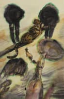 Heidi Fourie; Evolution