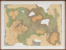 Wezile Harmans; The Land of the South