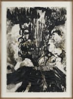 Joëlle Joubert; Mt. St. Helen Erupting in 1980