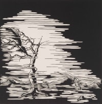 Wim Botha; Blast Wave I-IV, four