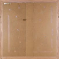 Lehlogonolo Mashaba; Shatter I