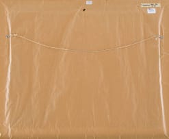 James Thackwray; Cape Street Scene