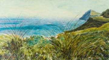 Alice Elahi; Grasses in the Wind, Cape Point