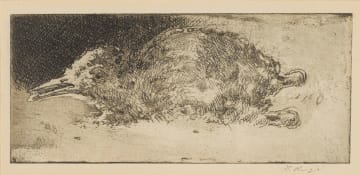 François Krige; Bird