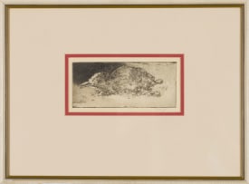 François Krige; Bird