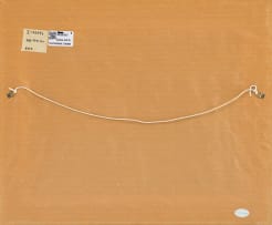 Nerine Desmond; Basotho Riders