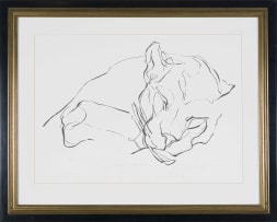 Dylan Lewis; Sleeping Leopard