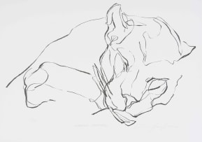 Dylan Lewis; Sleeping Leopard