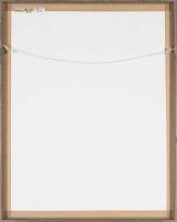 Diane Victor; Politician