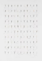 Willem Boshoff; Alchemical Sigils