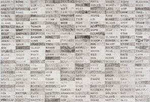 Willem Boshoff; Word Woes