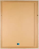 Deborah Bell; Horse and Rider