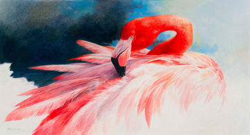 Tony Butler; Flamingo