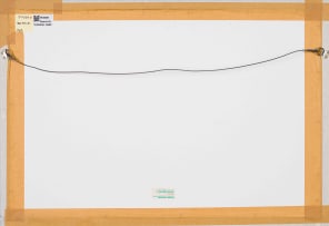 Tony Butler; Flamingo