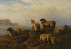 Charles Jones; Sheep Grazing on a Headland