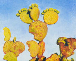 Walter Meyer; Prickly Pear Study, near Langenhoven Park