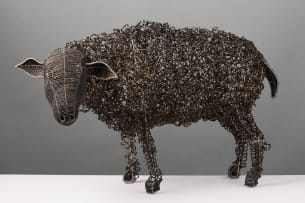 Beaded sheep