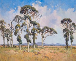 Conrad Theys; Bome in die Sandveld (Trees in the Sandveld)