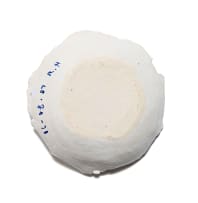 Ruan Hoffmann; Bowl with linear botanical decoration in blue and white