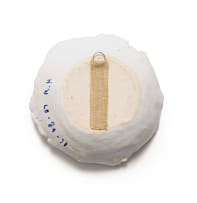 Ruan Hoffmann; Bowl with linear botanical decoration in blue and white