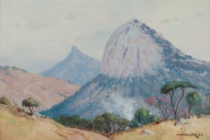 Willem Hermanus Coetzer; Legogoto Mt. Game Reserve