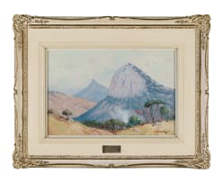 Willem Hermanus Coetzer; Legogoto Mt. Game Reserve