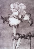 William Kentridge; Iris II (In Clamp)