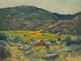 Piet van Heerden; Kammieskroon