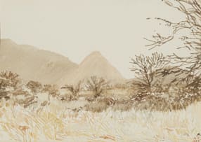 Adolph Jentsch; S.W. Afrika