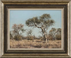 Francois Koch; Bushveld Landscape with Trees
