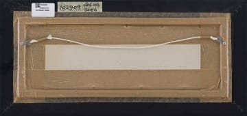 Francois Badenhorst; Aloes in Landscape